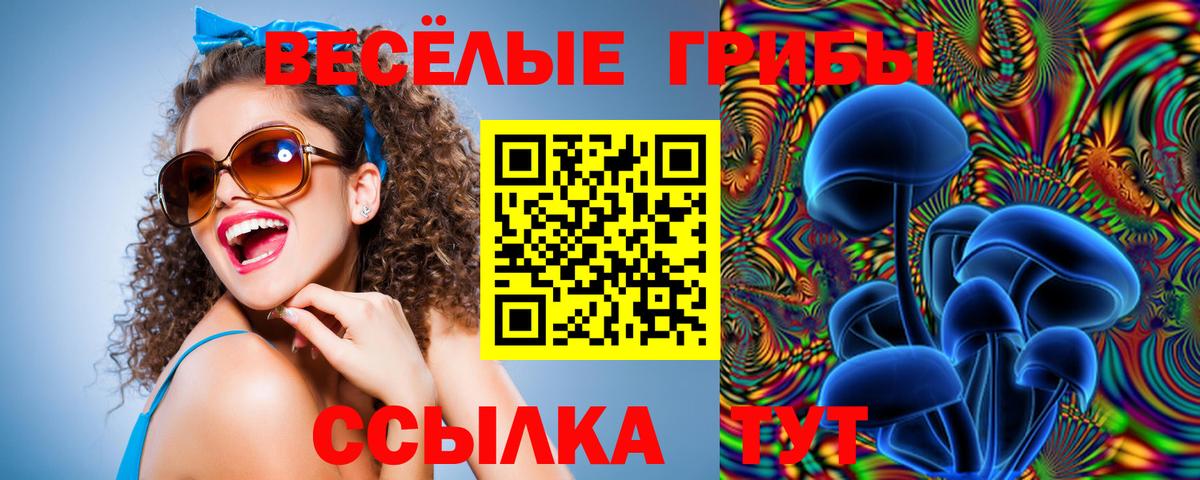 Марихуана Павловский Посад